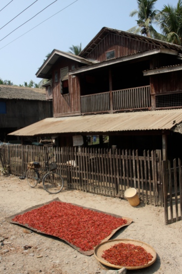 House with drying chilies in Lontha Village