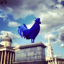 The Blue Cock at Trafalgar Square