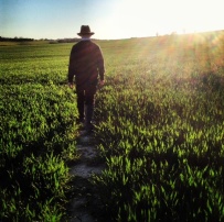 Piers walking through the early wheat fields